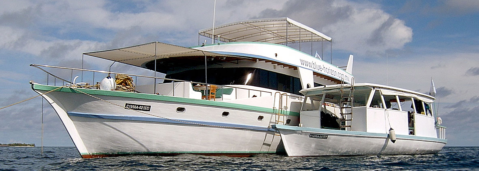Maldives Locations Page Star Surf Camps Boat Trip 960 x 343