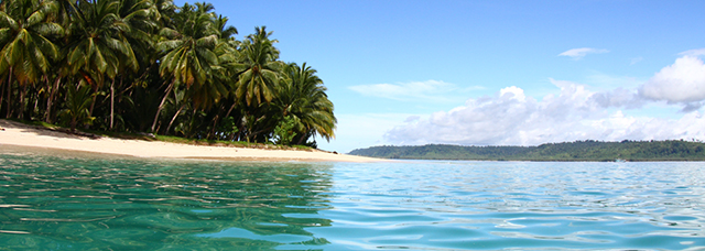 Star Surf Camps Bali Surf Trip Adventure Beautiful Bali Island Paradise Palm Trees 640 x 228