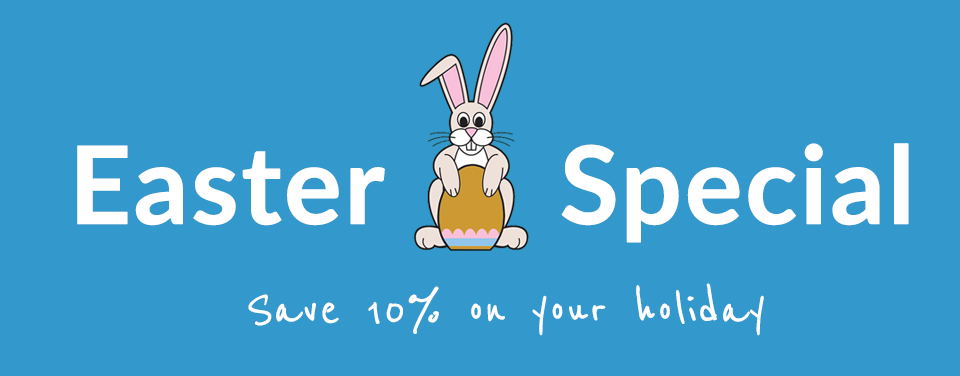 Easter-Sepcial Star Surf Camps