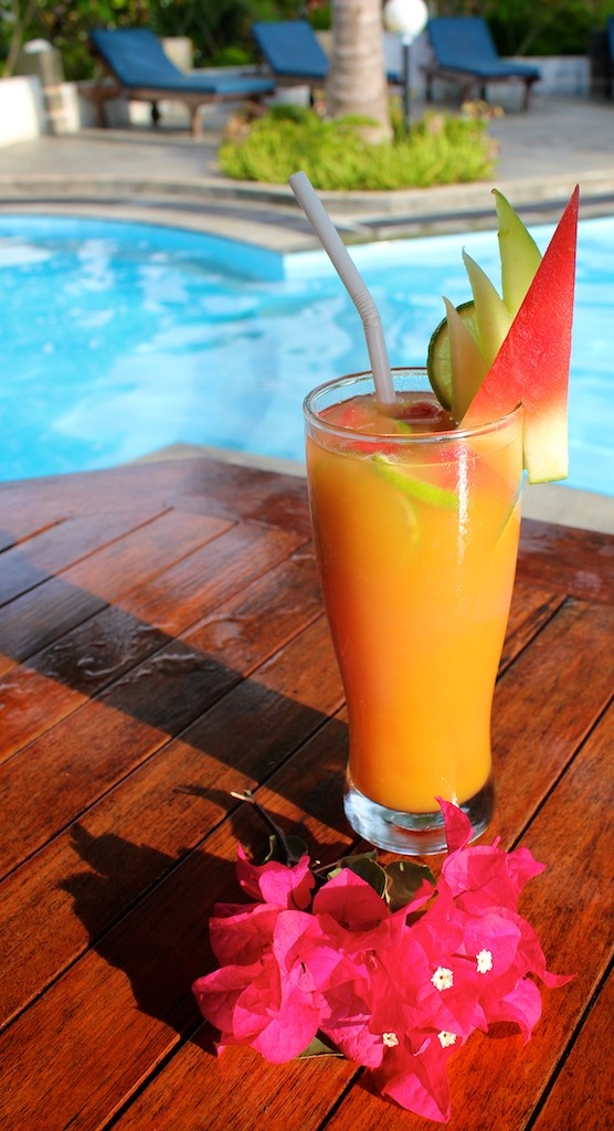  Surf Camp Resort Mentawai Islands Food Drinks Cocktail Pool 556 x 1024 