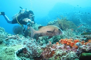  Surf Camps Surfing Holidays Bali Group Trip Diving Snorkelling 310 x 206 Optimized 